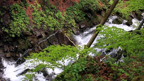 Waterfall-falling-in-wooded-area.-Cascade-waterfall-in-mountains.-Forest-river