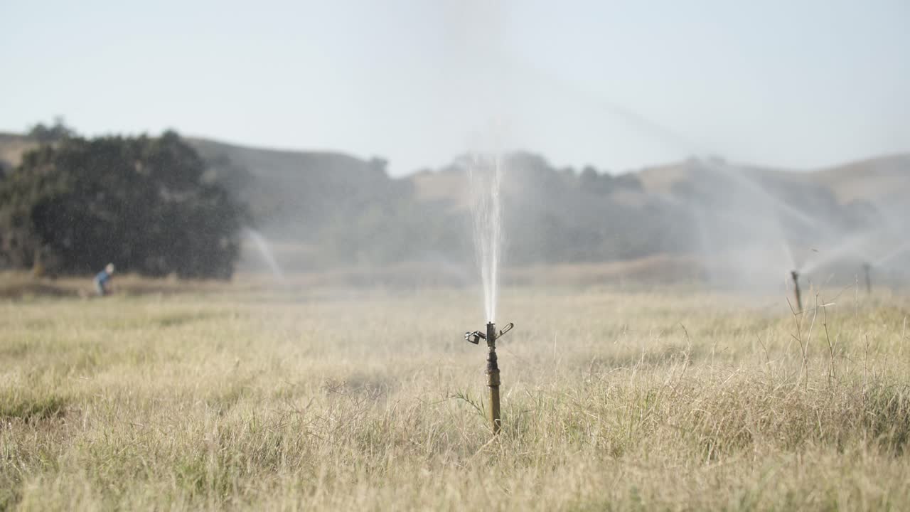 Sprinkler springing back and forth watering a field with a farmer in the background