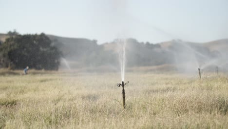 Sprinkler-Springt-Hin-Und-Her-Und-Bewässert-Ein-Feld-Mit-Einem-Bauern-Im-Hintergrund