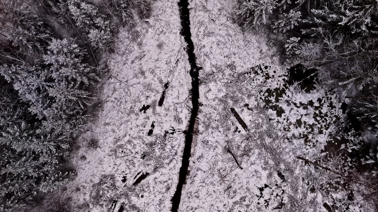 Vista aerea di un paesaggio forestale innevato con tracce e un sentiero che divide la scena, ripreso da drone.