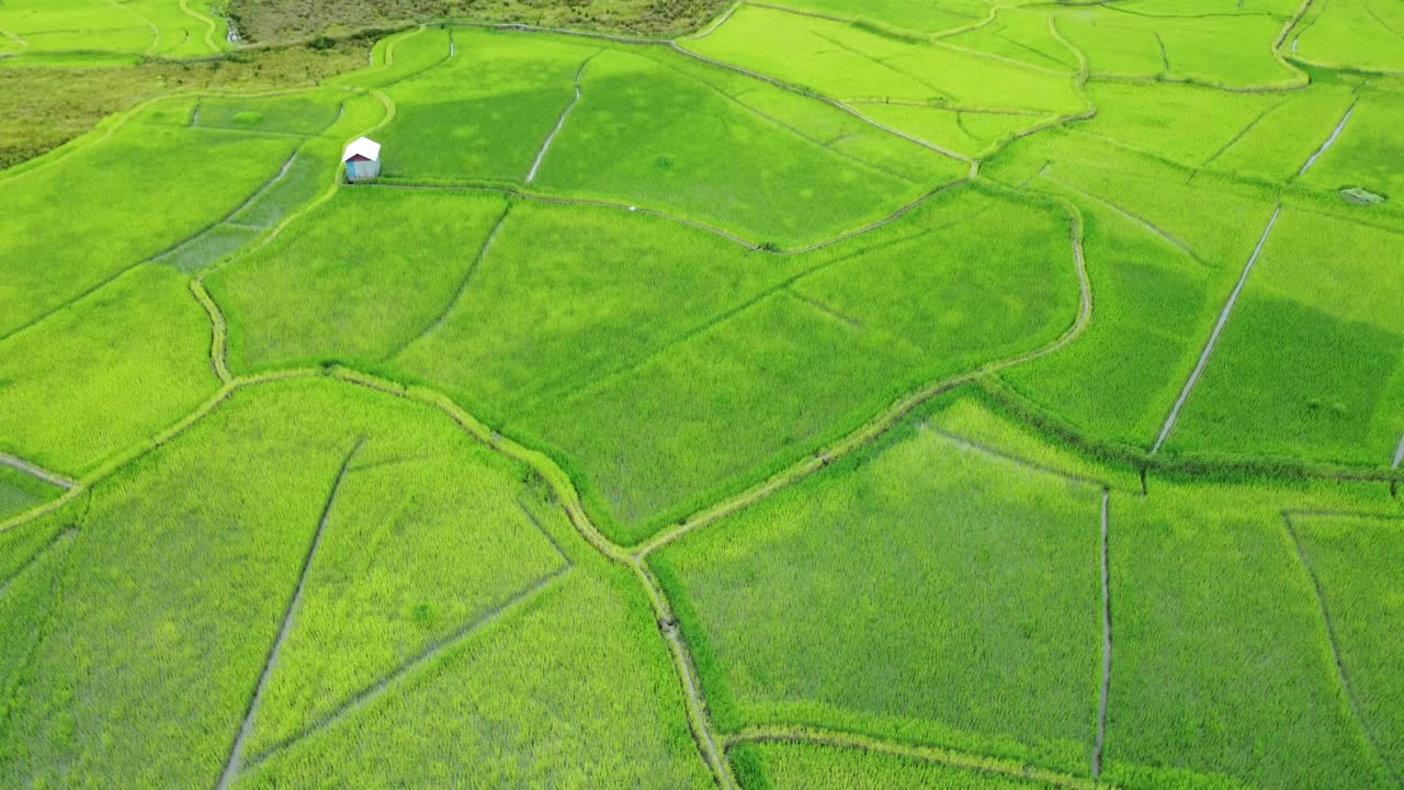 vista aérea de un campo de arroz en arunachal pradesh