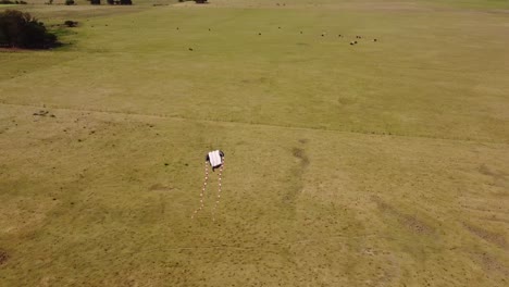 aerial tracking shot of flying stingray shaped kite during aeromodelling event in buenos aires