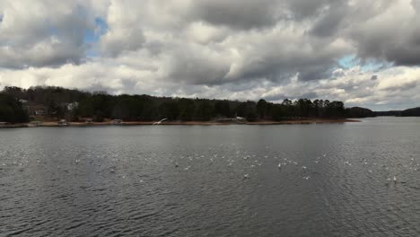 Möwenschwarm-Am-Lake-Lanier-Im-Winterlichen-Drohnenblick