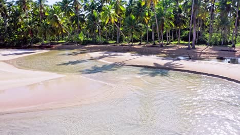 vista aérea que muestra el agua transparente de la piscina, la playa de arena y las palmeras tropicales en el fondo - playa coson, las terrenas