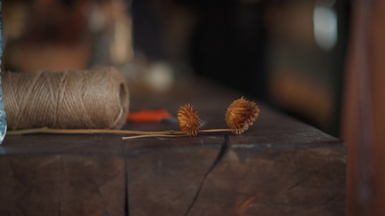 Two dried spiky seed pods rest on cracked wooden beam beside twine spool and blurred glass bottle, with warm low-key lighting, soft bokeh, natural texture, subtle movement in background