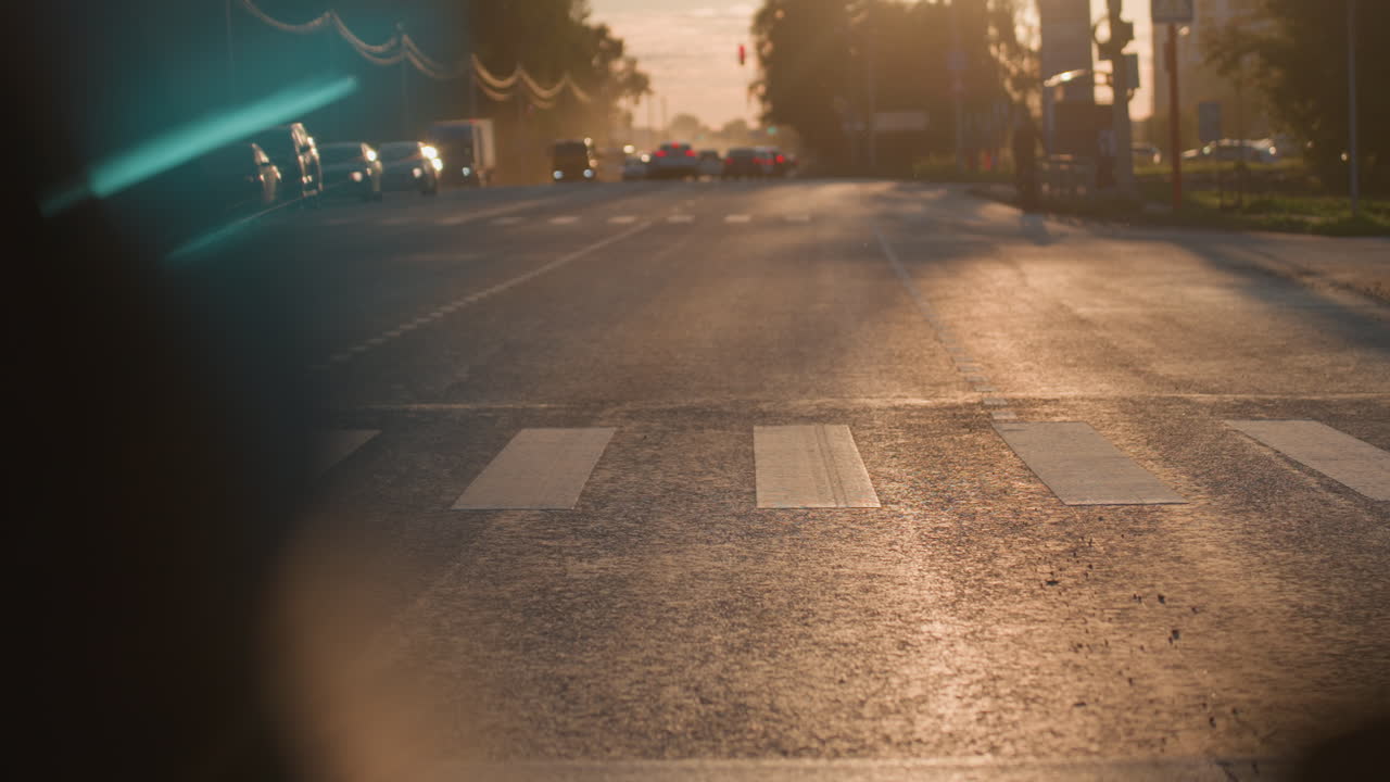Urban road with moving cars across asphalt marked with crosswalk glowing in warm golden sunlight at sunset capturing atmosphere of evening traffic scene with natural light reflection