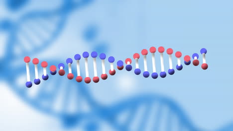 animation of dna strains spinning on blue background