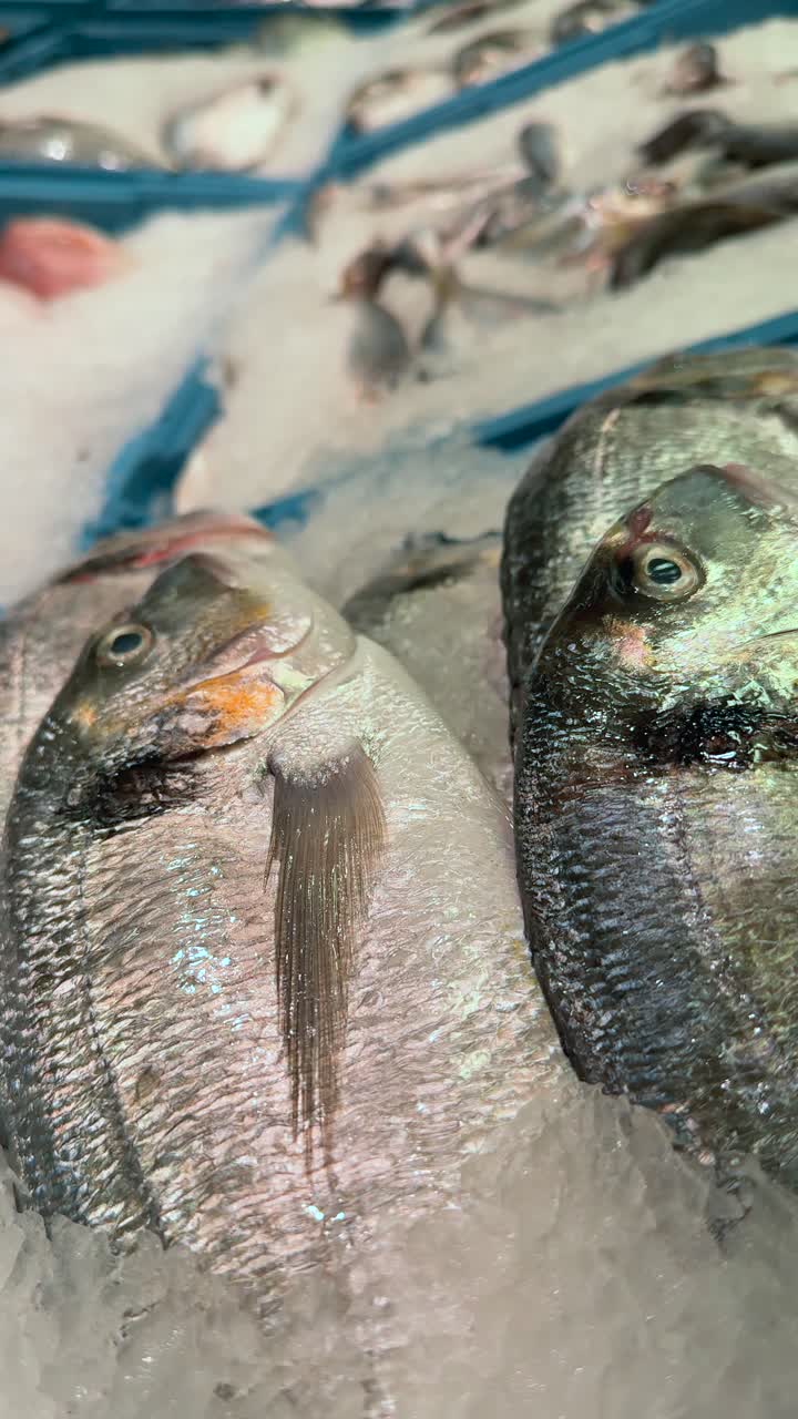 pescado fresco en un mercado