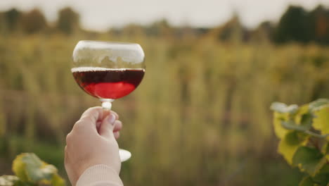 The-taster-holds-a-glass-of-red-wine-in-his-hand,-slightly-splits-it-in-the-glass.-4k-slow-motion-video