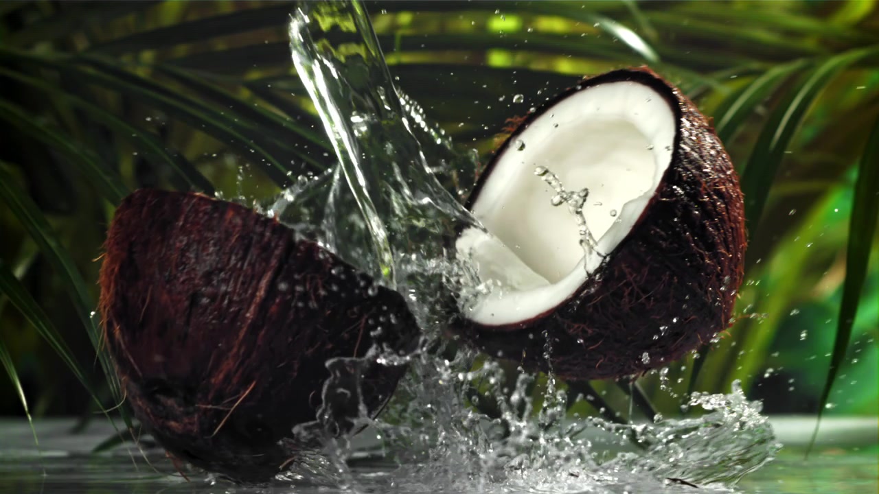Coconut Splitting and Water Splashing in Slow Motion with Tropical Leaves