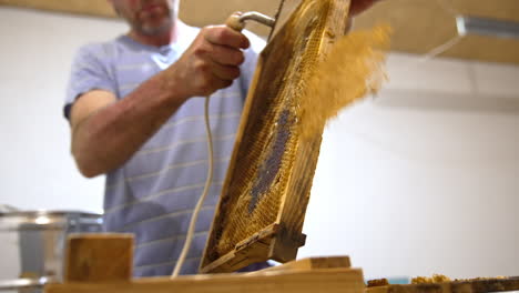 apiarist holding a special tool in hands to uncover the sealed cells. man prepares frames for removal of honey.