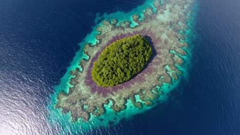 vista aérea de una isla tropical y un arrecife de coral