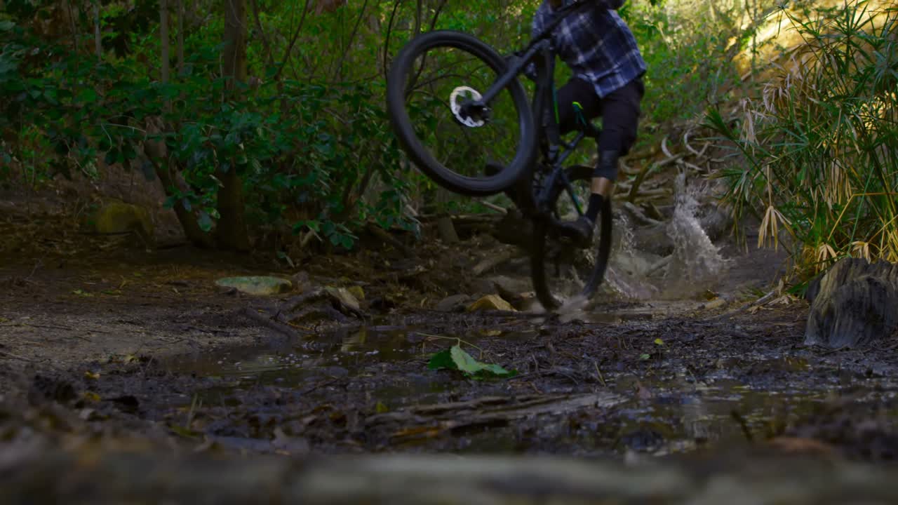 hombre montando en bicicleta en el bosque 4k