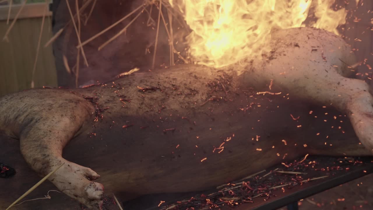 Traditional straw fired pig scorching at matança in Alto Minho Portugal