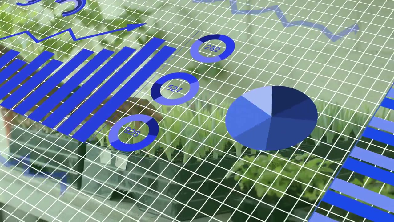 Grid settling, activating business dashboard with bars rising and rings forming, showing metrics