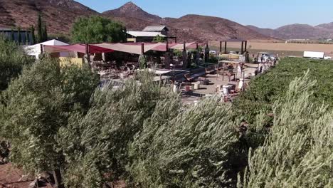 aerial view of a vineyard venue, setup for a wedding