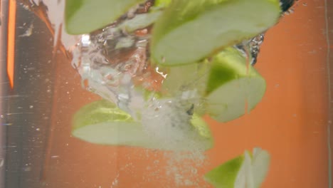 disparo estático en cámara lenta de piezas de manzana verde sabrosa y fresca que caen en un remolino de agua o tornado de agua y giran en un círculo en el agua