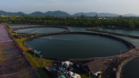 fish farm aquaculture ponds