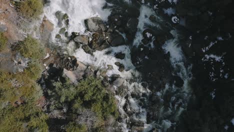 Aerial-shot-of-Owen-Sound's-rocky-stream-in-Ontario,-lush-trees-flanking-the-waters,-sunny-day