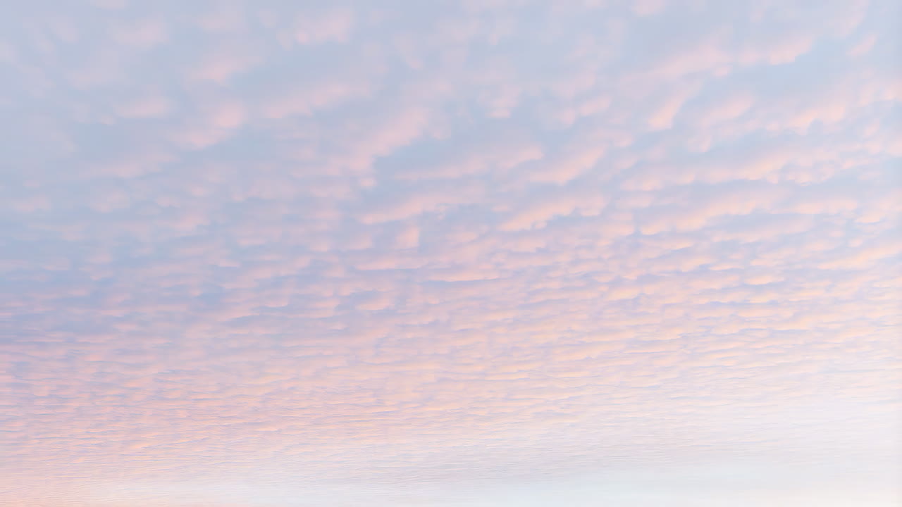 Soft Pastel Altocumulus Clouds at Dawn or Dusk