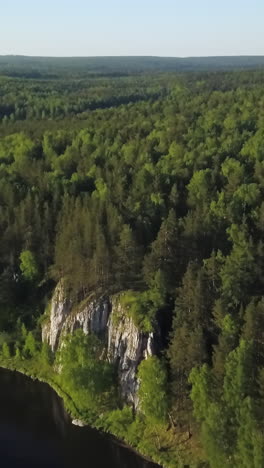 aerial view of forest and cliff