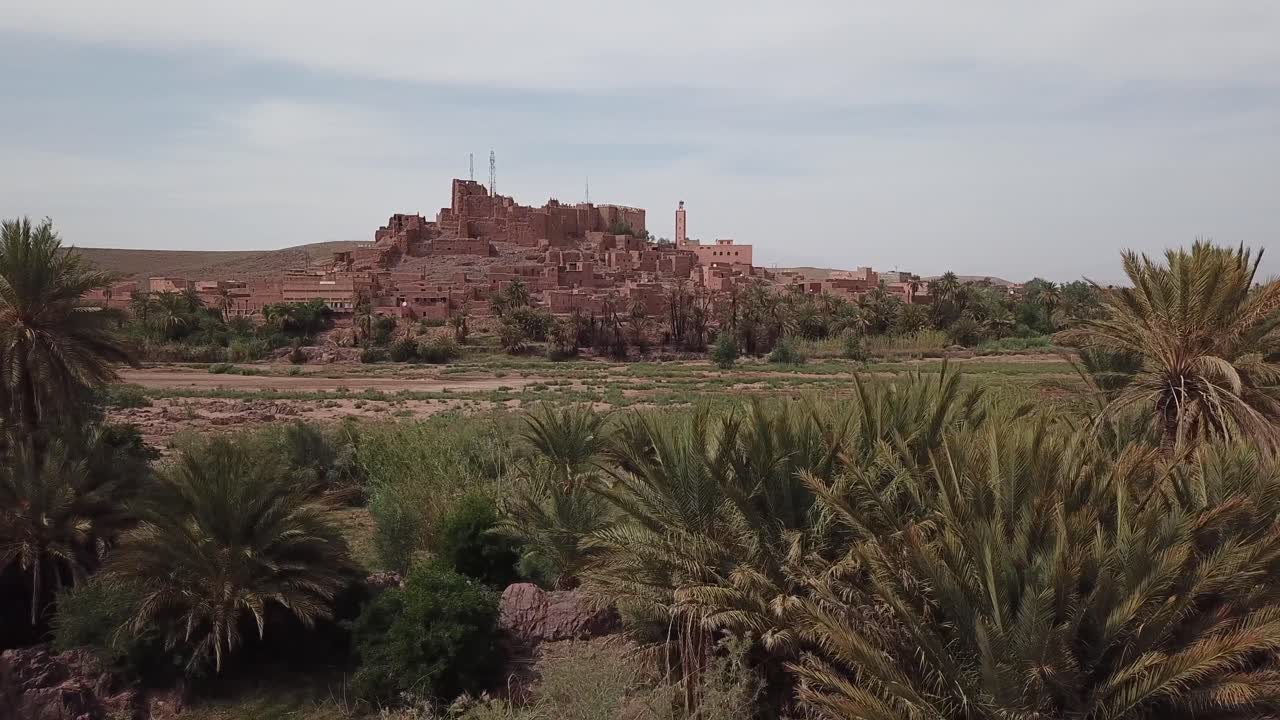 Vista panorâmica através de palmeiras verdes em direção a uma tradicional aldeia Kasbah de barro em uma colina. O exuberante oásis em primeiro plano contrasta com o árido cenário marroquino