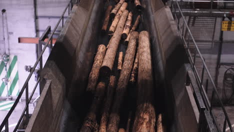 wooden logs traveling on a treadmill in a factory no people in sight lumber are being transported through the facility as part of the wood processing and sawmill equipment tree cutting industry