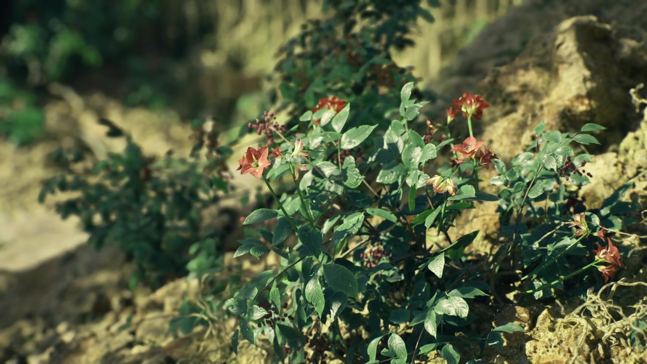 Lush flowering ivy decorates rugged terrain with lively colors and greenery