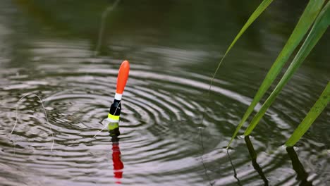 fishing bobber float throw in the water with splash. slow motion