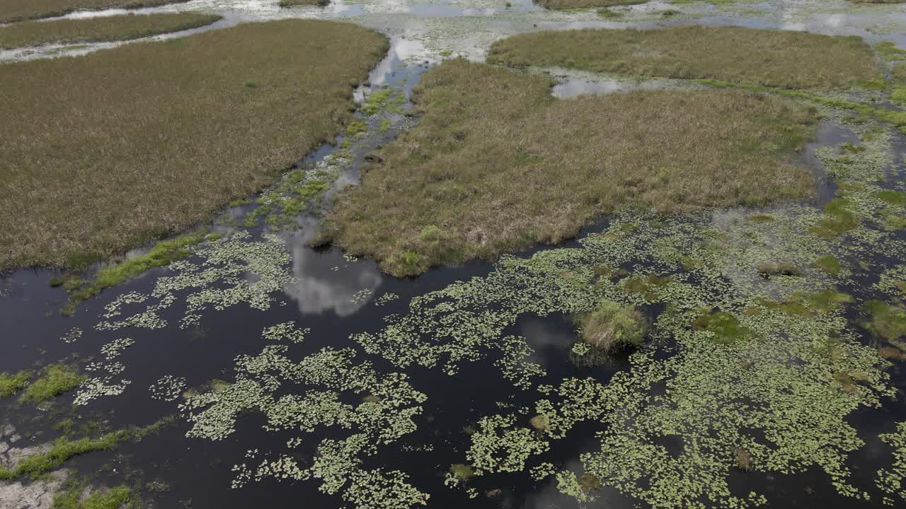 Everglades aerial: downward tilt to black water from low access road
