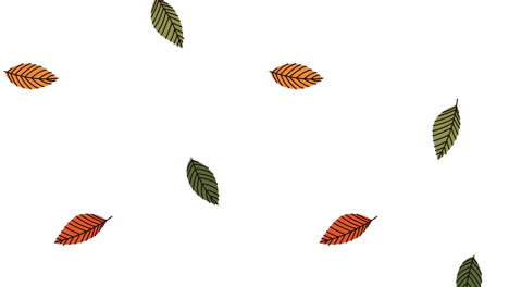 animación del patrón de las hojas de la temporada de otoño