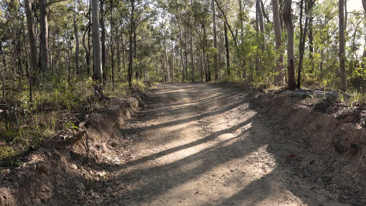 네랑 국립 공원, 골드 코스트,  ⁇ 즈랜드, 오스트레일리아 의 화재 방지 경로 의  ⁇ 드헬드 영상