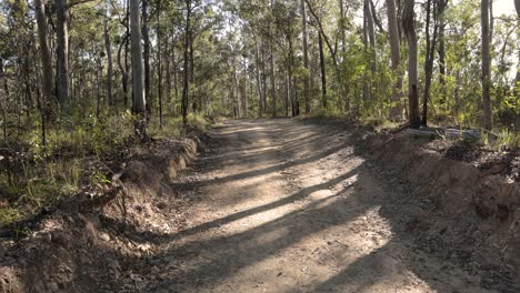 Handheld-footage-of-fire-break-trails-in-Nerang-National-Park,-Gold-Coast,-Queensland,-Australia