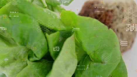 Digital data processing animation overlay on fresh green leaves in nature