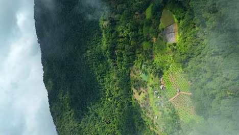 Remote-Farmland-surrounded-by-Evergreen-Forest,-Aerial-Drone-Video-Flying-through-White-Cloud,-Ecosystem-Agriculture-Land-and-Soil,-True-Vertical-4k-Portrait-9:16