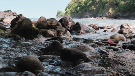 Low-POV-shot-of-small-stream-flowing-into-Pacific-Ocean-on-island-of-Hawaii