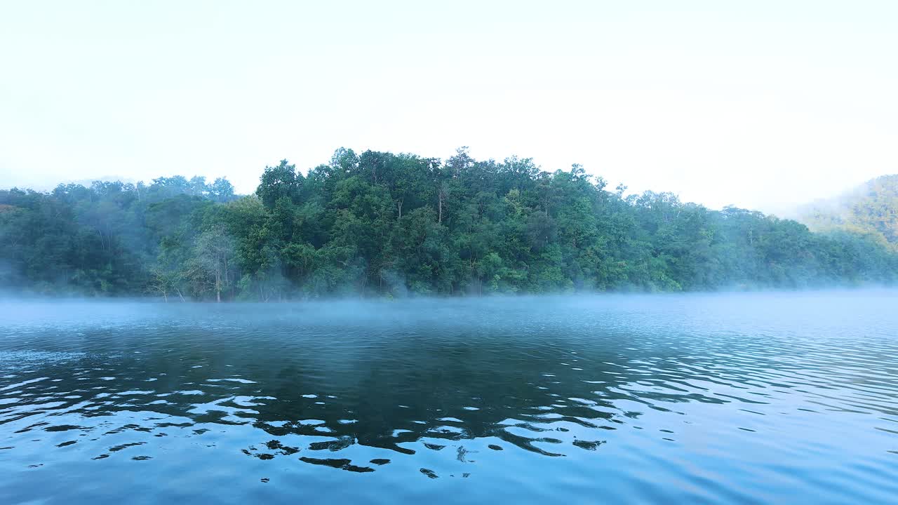 안개 와 숲 을 배경 으로 한 평온 한 강