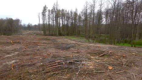 Slow-aerial-flight-over-destroyed-forest-landscape-with-environmental-damage-after-wood-clearing