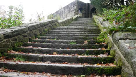 stone moss covered staircase ruins autumn woodland rivington ornamental terraced gardens wilderness low angle dolly left