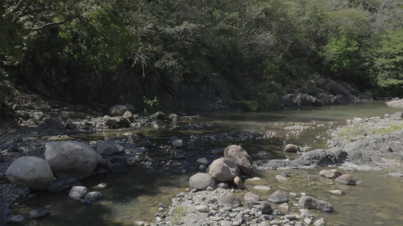 Ruscello colpito dalla siccità in un'area di foresta tropicale secca nell'Honduras meridionale