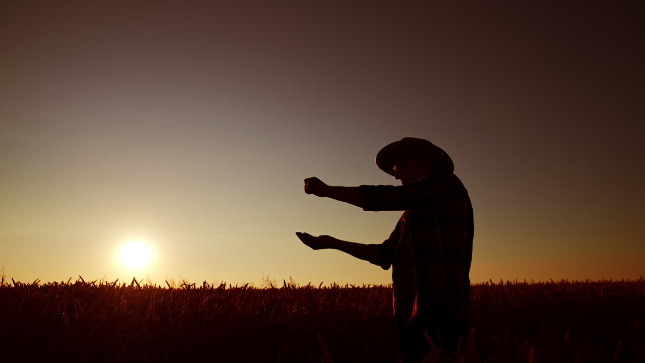 Silhouette of an old man in hat in the field at sunset. Farmer pours some grains on his hand. Low angle view.