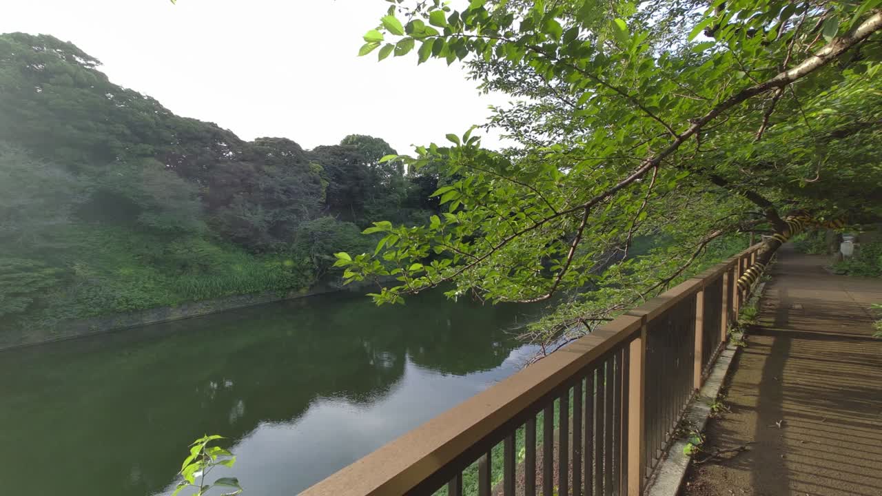 도쿄 치도리가푸치 (tokyo chidorigafuchi) 2022년