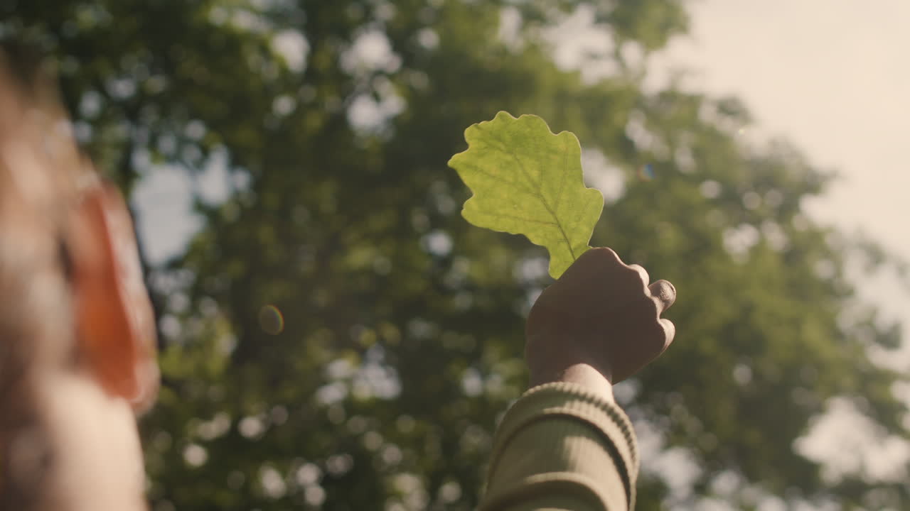 A person holding an oak leaf