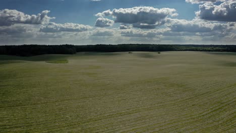 scenic wheat field under blue cloudy sky at sunset - aerial drone shot