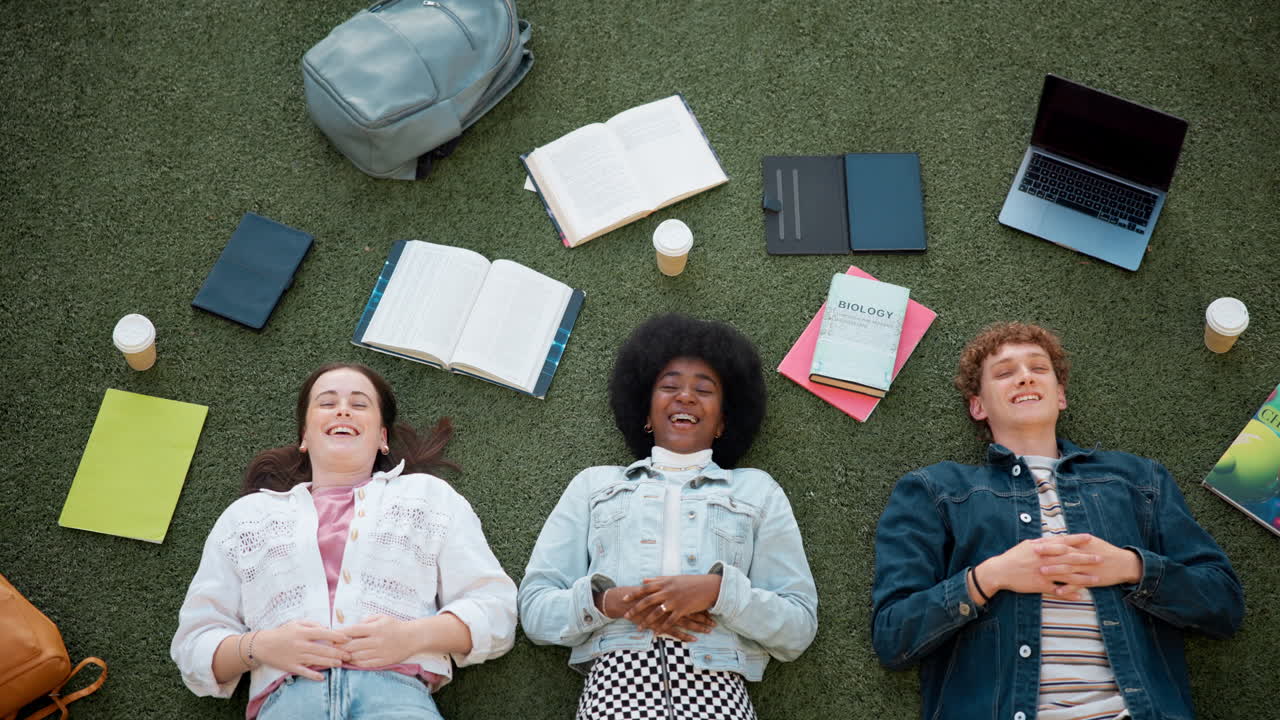 Group of students studying on the grass