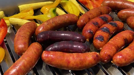 Bunter-Wurst--Und-Gemüsegrill