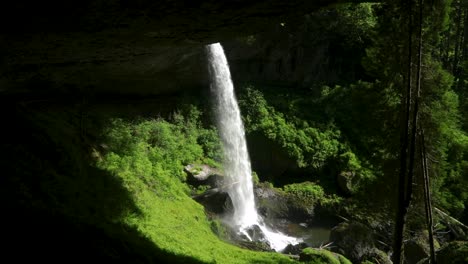 Las-Cataratas-Se-Sumergen-En-Las-Rocas-Cubiertas-De-Musgo-En-El-Parque-Estatal-Silver-Falls,-Cerca-De-Silverton,-En-El-Estado-De-Oregón.