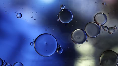 abstract colorful food oil drops bubbles and spheres flowing