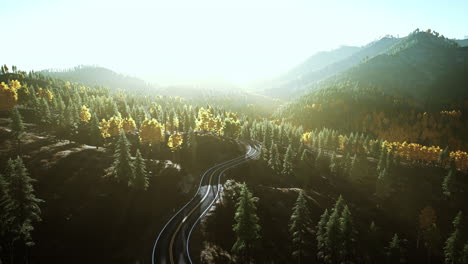 winding road through a mountain forest