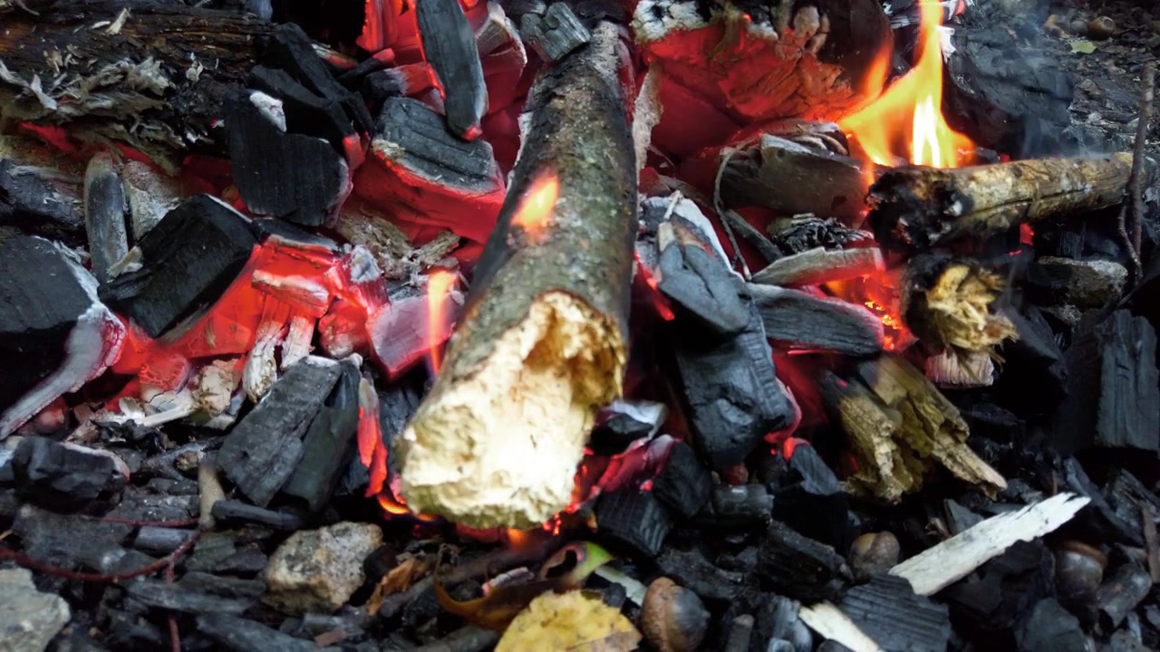 Riprendere un incendio nella foresta